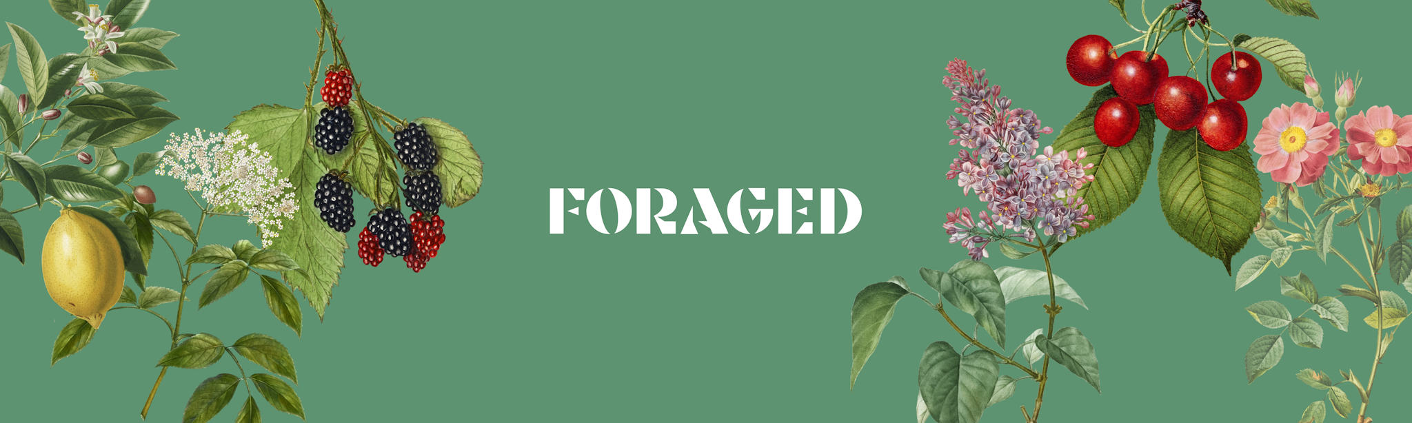 Forage Ahead's banner