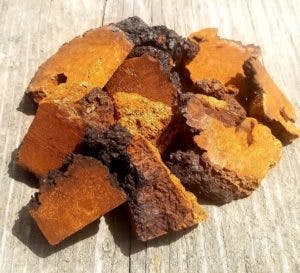 THE ESSENTIAL GUIDE TO CHAGA
