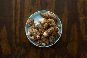 HOW TO COOK MORELS