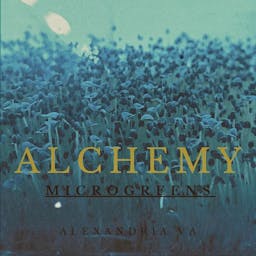 Alchemy Microgreens