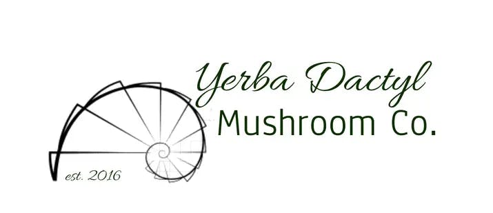 Yerba Dactyl Mushroom Co's banner