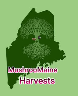 MushrooMaine Harvests