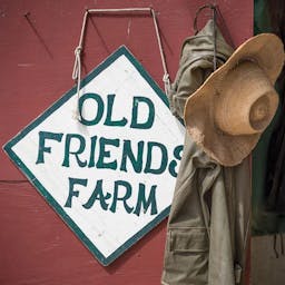 Old Friends Farm