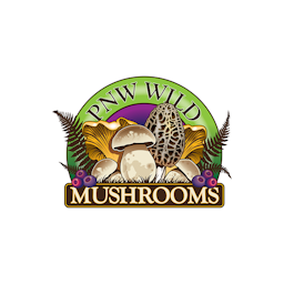 PNW Wild Mushrooms