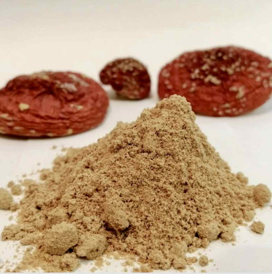 1 Ounce Powdered Amanita Muscaria, Grade A+ Harvest 2023