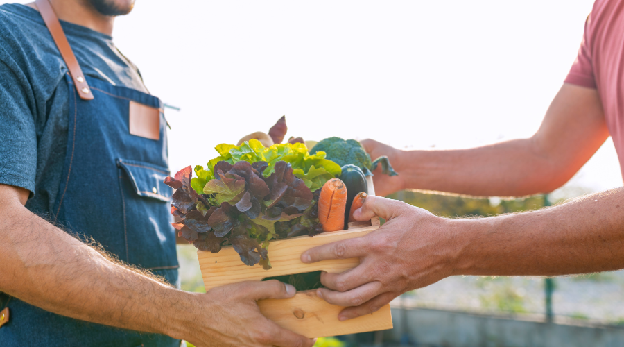 What Is A Farmers Market? Benefits For Health And Economy