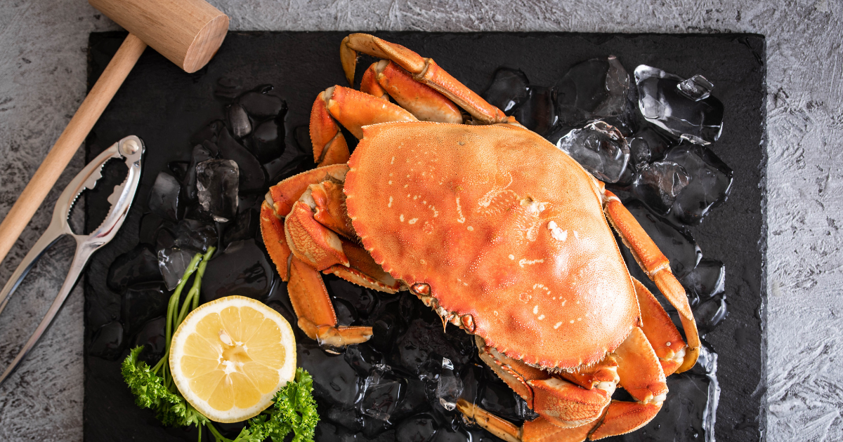 Expert Tips: How to Clean Dungeness Crab Right