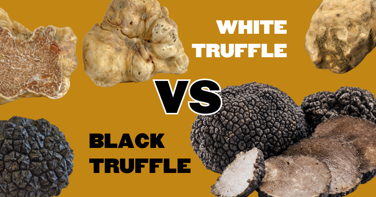 Gourmet Duel: White Truffle vs Black Truffle