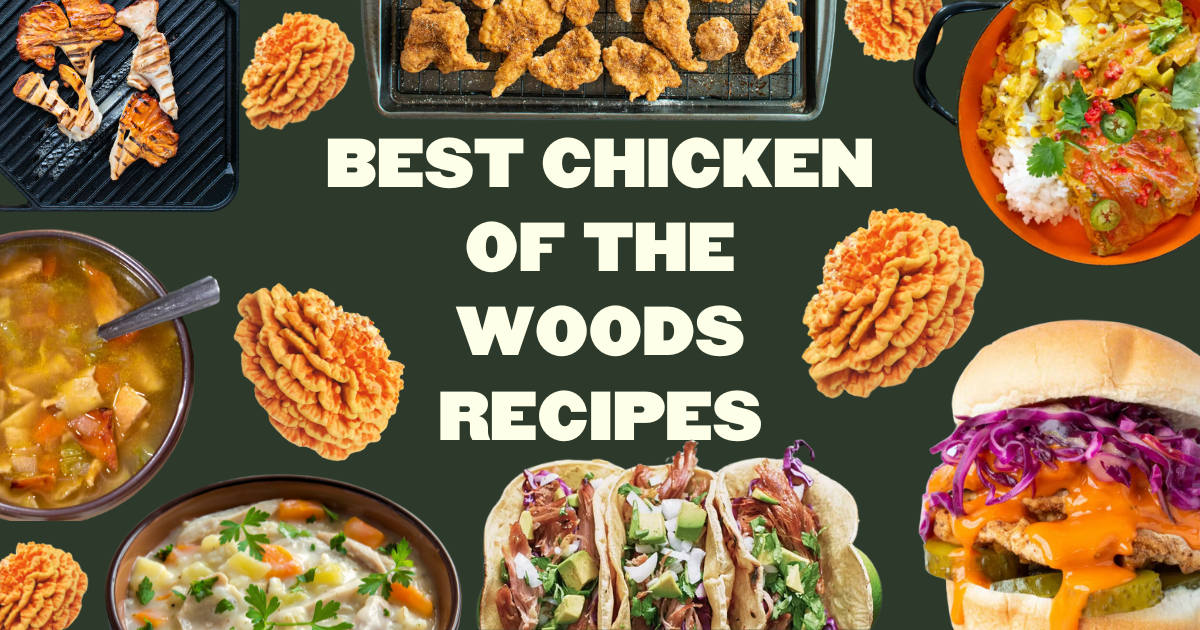 9 Best Chicken of the Woods Recipes